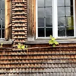 Idyllische Im Historischen Dorfhaus Apartment