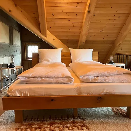 公寓 Idyllische Im Historischen Dorfhaus Ebnat-Kappel