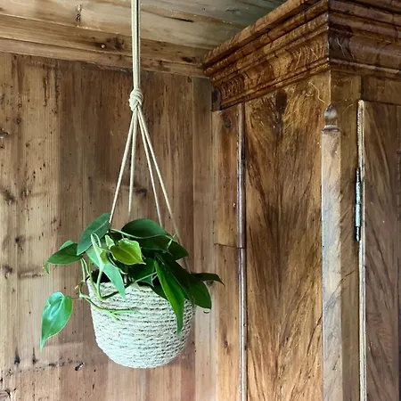 Lägenhet Idyllische Im Historischen Dorfhaus Ebnat-Kappel